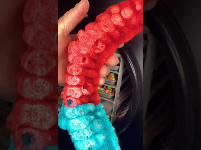 Freeze Dried The Worlds Largest Gummy Worm! #freezedriedcandy class=