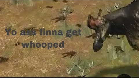 Desplato with new bone break vs Lamb Suace! | Path Of Titians