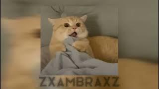 BDLP ft rares– La tine si la bani (speed up song)