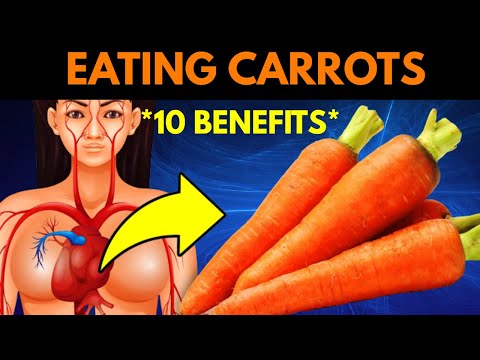 Video: Spiser dassies gulrøtter?