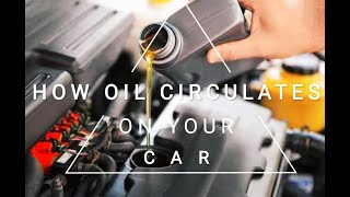 How Oil Circulates on Your Car?