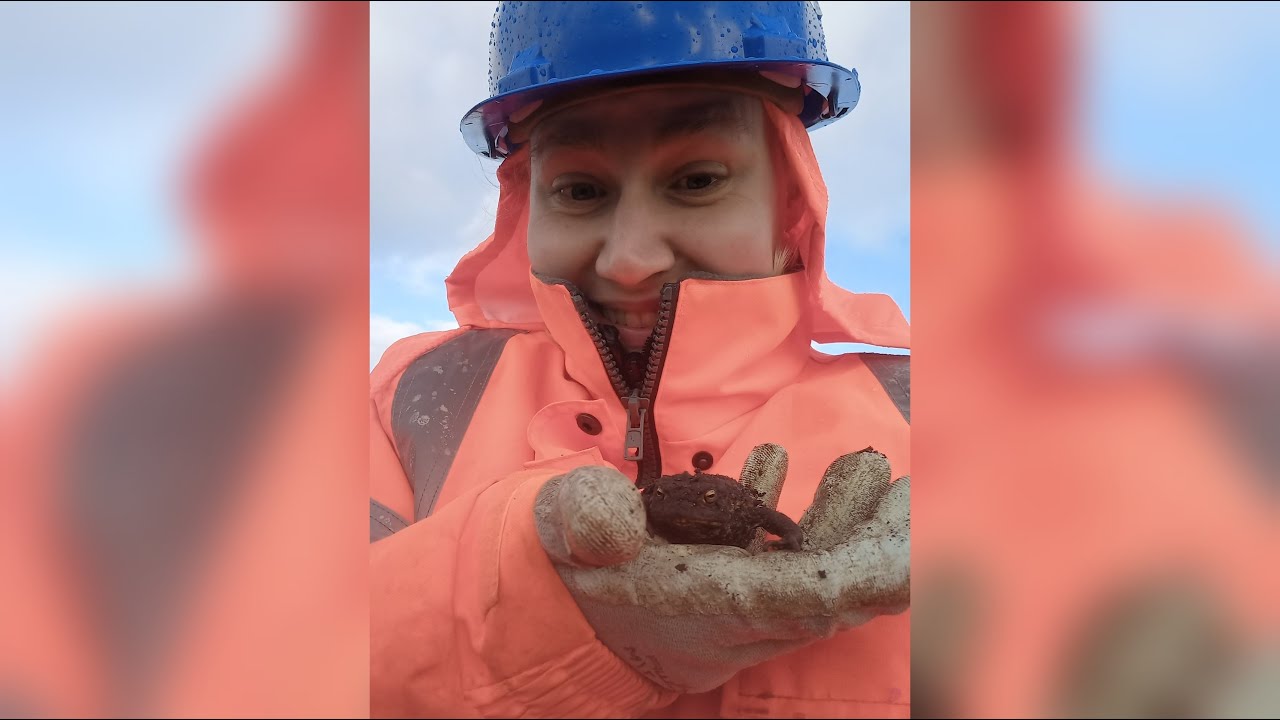 WHAT'S ON YOUR WORK PHONE? Photo Challenge | Thomson Environmental Consultants