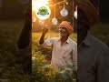 Desi Jugaad 😱 CD से बचाई फसल! | Smart Farming Hack
