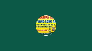 11h30_10/5 Hoang Lam Mai Vang Long An giao luu cung a chi e mai vang giao ben tre tang 0944639915