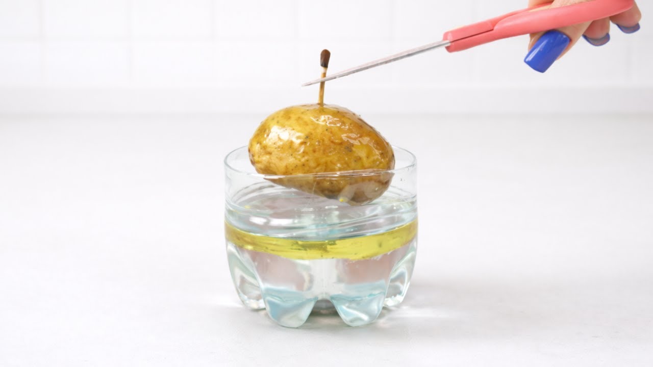 I put a POTATO in a bottle of oil. 😲 The result burned for DAYS!