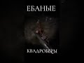 13 июня 2024 г.