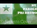 We Don't Talk About Bruno from ENCANTO | ESPERANTO COVER 'Ne Parolu Pri Bruno' (Subs + Trans)