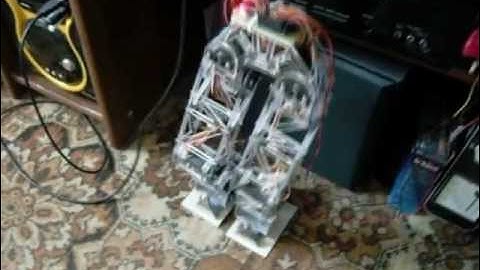 First steps of my biped robot