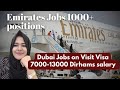 IMPORTANT VIDEO : Apply From India Pakistan &amp; UAE Airport Jobs #job #earnmoney #jobsforfreshers