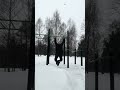 Подтягивания с висом внизу 1-2 секунды,гораздо снижают общее количество повторений.