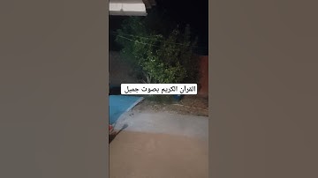 القرآن الكريم بصوت جميل #قرآن #اكسبلور #تيك_توك #اكسبلورر #لايك #اكسبلورفولو