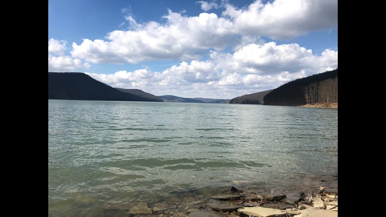 Allegheny National Forest:  Tracy Ridge Hiking Trail