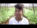 Understanding Food Justice and Organic Farming