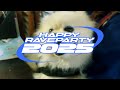 HAPPY RAVE PARTY 2025(Behind The Scenes)