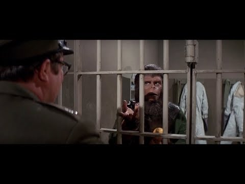 escape-from-the-planet-of-the-apes-(1971)-apes-given-oranges-part-1/2