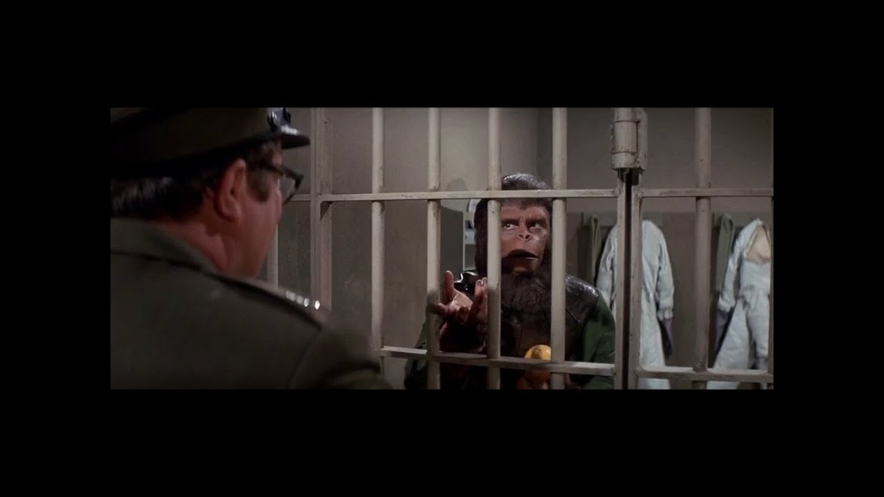 Escape from the Planet of the Apes (1971) Apes given oranges part 1/2
