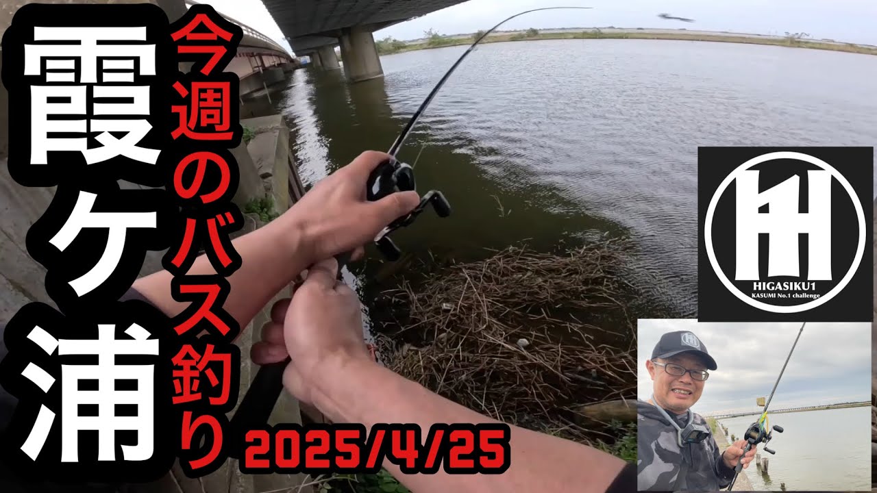 バス釣り今週の霞ヶ浦2025年4月25日