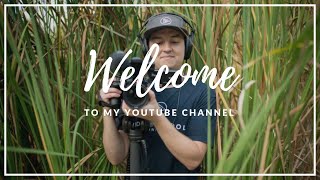 Welcome to the Video School - YouTube Channel