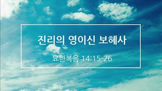 '진리의 영이신 보혜사' [요한복음 14:15-26]