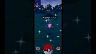 ​RARE CP 16 SHINY SPRITZEE ENCOUNTER! 🌟 Pokémon GO #shorts