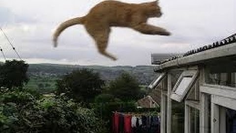 GOLANG WEB APP TUTORIAL - Part 3