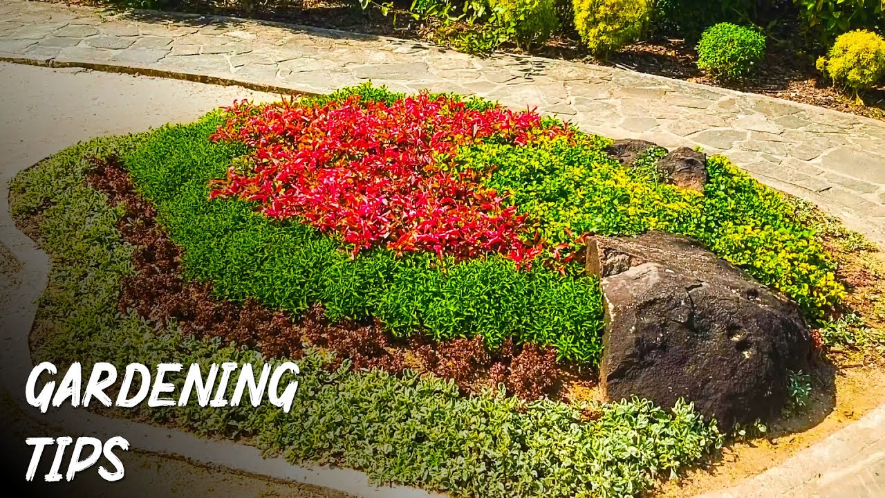 Easy Garden Ideas - YouTube