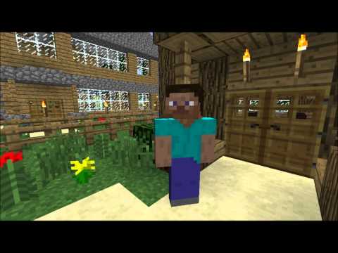 Minecraft Server info
