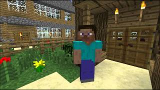 Minecraft Server info