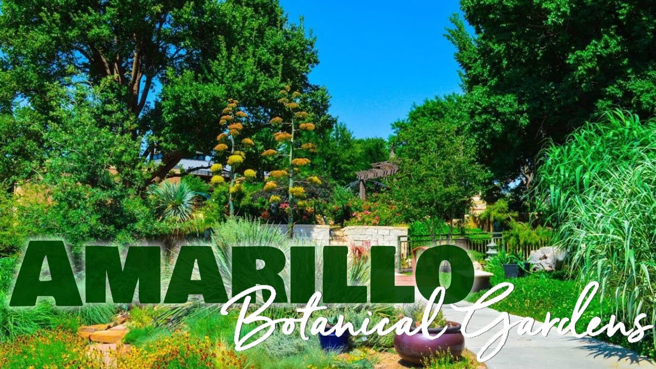 Winofest Amarillo Botanical Gardens - YouTube