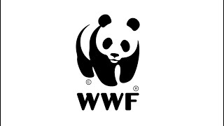 SA Plastics Pact 2020 Member Conference - WWF - Video 2