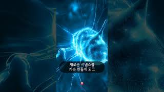 시냅스 형성의 과정 #아동학교수 #shorts #한국몬테소리
