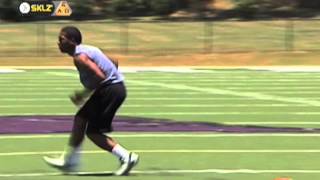 Linear W Sprints with Agility Cones