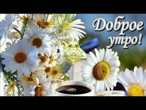 С ДОБРЫМ,ЛЕТНИМ,РОМАШКОВЫМ УТРОМ!