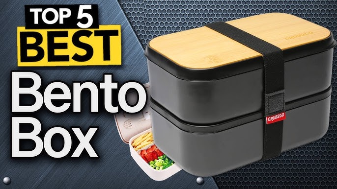 Davit 6 x 7 Clear Plastic 4 Compartment Bento Boxes (Set of 15) Prep & Savour