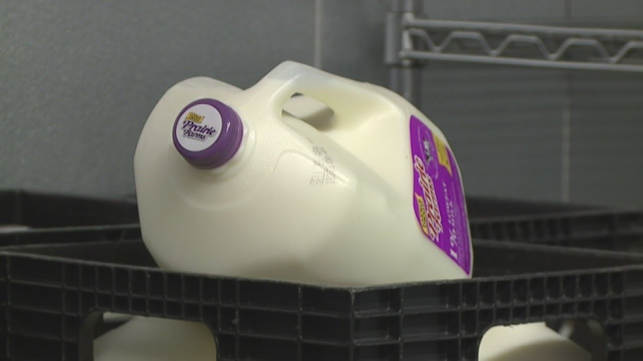 Dairy farmers forced to dump milk due to low demand and closures - YouTube