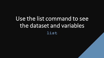 SDAS Stata TechTok - list
