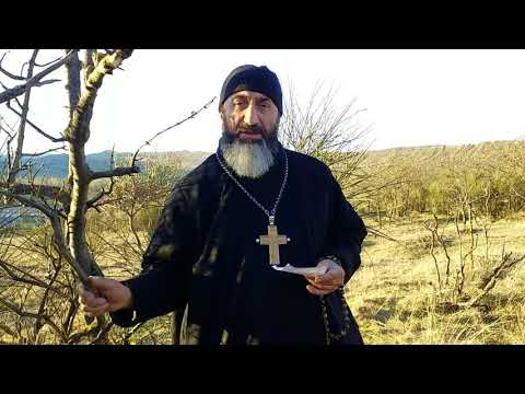 დეკანოზი გიორგი სხირტლაძე   უფალი გვაძლევს ძალას