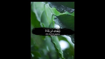 (سورة يونس)(سعد الغامدي)
