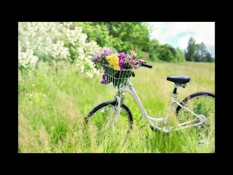 【歌ってみた】風になる／つじあやの
