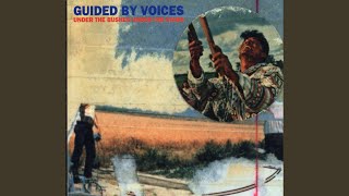 Video thumbnail of "Guided by Voices - The Perfect Life"