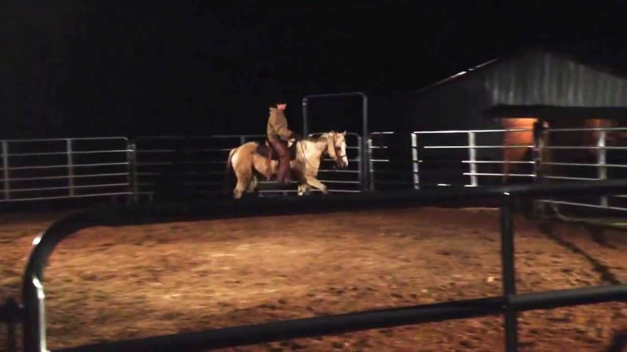 Training horse to move off just leg pressure YouTube