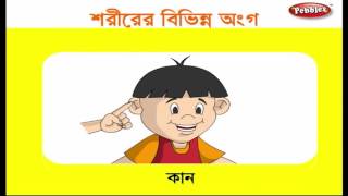 Preschool Learning Videos in Bengali | Kids Educational videos