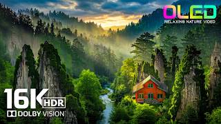 Amazing Peaceful Nature HDR Video | 16K Dolby Vision 120FPS | OLED TEST for 8K/4K Video ULTRA HD