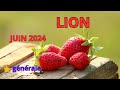 Lion juin 2024une grande victoire 