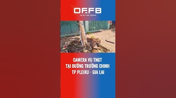 Camera vụ tngt tại đường Trường Chinh - Tp Pleiku - Gia Lai #giaothong #tintuc #news #shortvideo