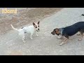 Kiomi &amp; Friends