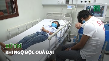 Xử trí khi ngộ độc quả dại| VTC14