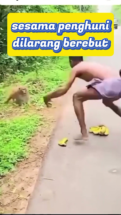 bisa saja bercanda