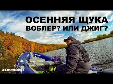 Спиннинг осенью. Воблер или джиг? Ловля щуки по холодной воде. Рыбалка 2017.