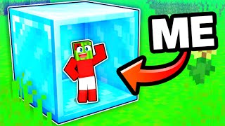 Minecraft BUT You Can Go Inside ANY BLOCK!